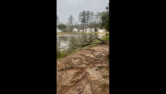 Afternoon nor'easter unleashes havoc: Myrtle Beach's Inverness area hit by the storm