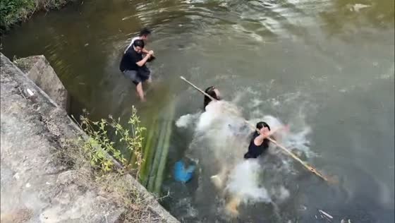 Bamboo raft sinks after man jumps off in Jiangxi, China