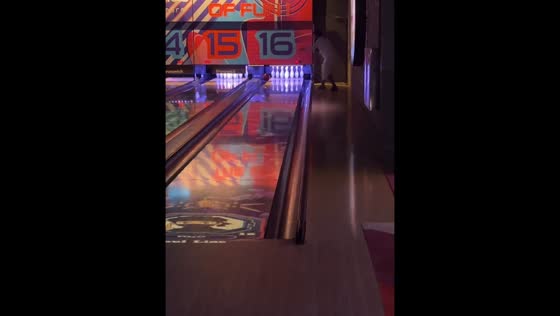Bowling attempt goes off track in Jeddah, Saudi Arabia