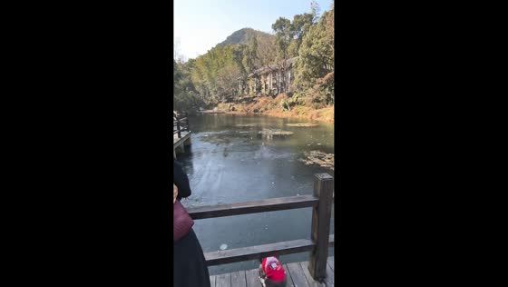 Dog jumps into icy lake after snowball toss in Shanghai, China