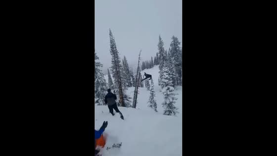Man falls after breaking tree while gathering firewood in Alta, Wyoming, USA