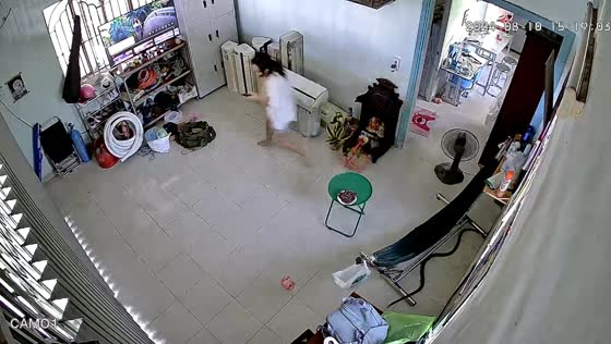 Snake slithers into room in Tien Giang, Vietnam