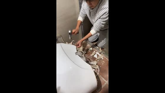 Two cats trapped in toilet bowl in Zhejiang, China