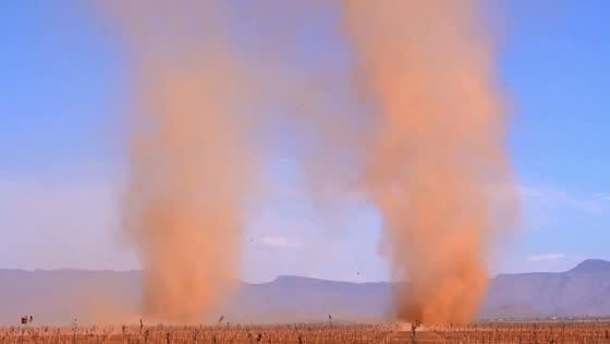 Dual dust devils spotted near Flagstaff, Arizona