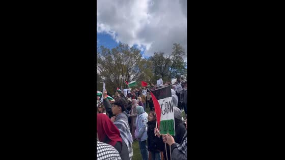 Washington D.C. rally: protest for Palestine