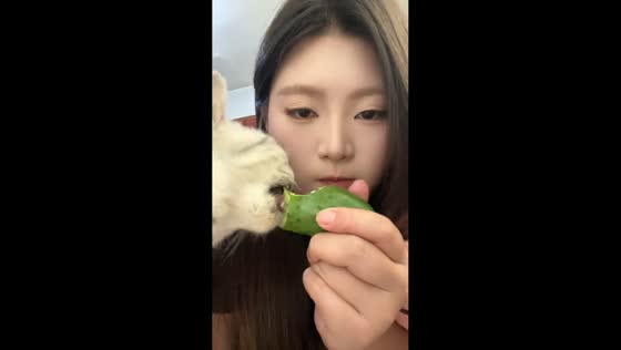 Cat steals cucumber from owner in Tianjin, China
