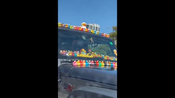 Colorful rubber ducks on Jeep in Fort Lauderdale