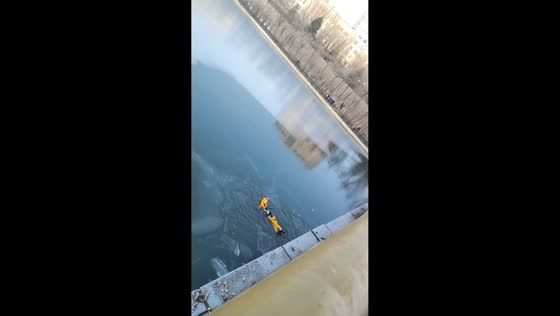 Firefighters rescue girl from frozen river in Liaoning, China