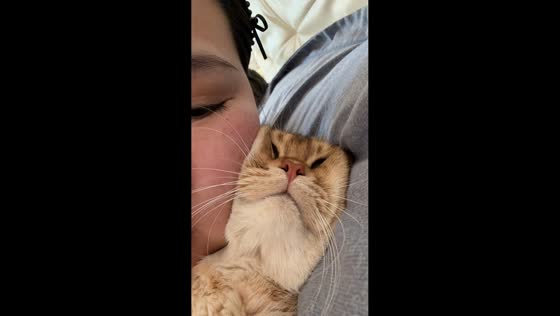 Cat’s fluffy face turns square in playful moment in Inner Mongolia, China
