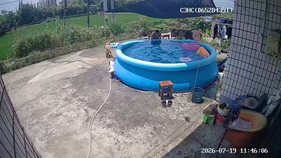 Man hilariously falls off float as above-ground pool spills over in Shanghai, China