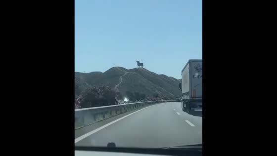 Iconic Osborne bull spotted on mountain in Zaragoza, Spain