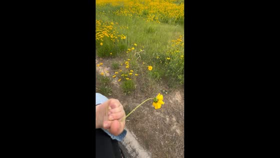 Cyclist stops to pick flower with her toes during ride in Hebei, China