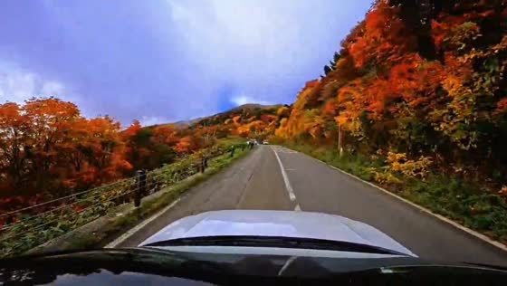  Stunning autumn leaves in Jododaira, Japan