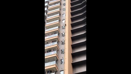 Monkey climbs down tall building in Guangxi, China