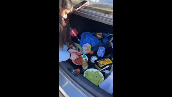 Friends enjoy food on a sunny day with snow alps in Maule, Chile