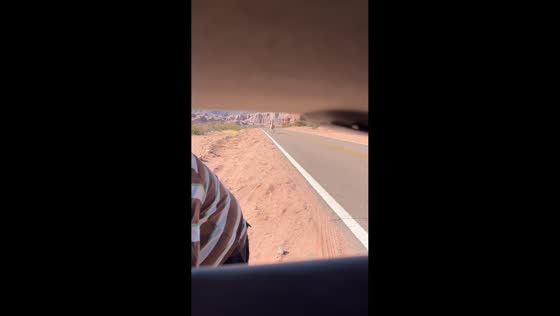 Llama startles two people beside roadside vehicle in Cafayate, Argentina