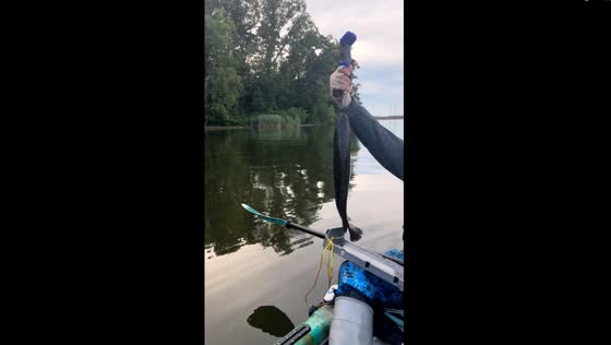 Fisherman's tale: the one that got away - a Baltimore fishing adventure