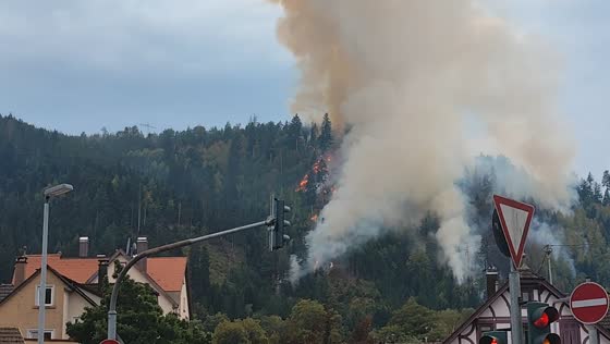 Large forest fire spreads across hillside near homes in Schramberg, Germany