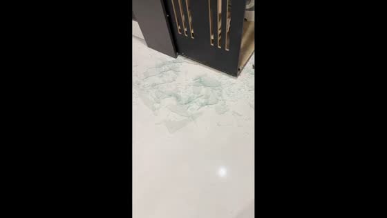 Playful chase with cat ends in glass door mishap in Zhejiang, China