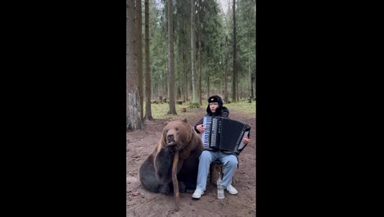 Bear enjoys accordion performance in Moscow