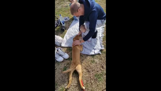 Playful puppy joins family picnic in Buenos Aires, Argentina