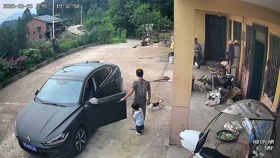 Trapped cat honks car horn until rescued in Sichuan, China