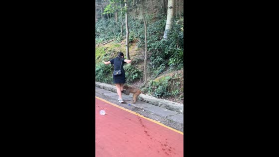 Monkey grabs and bites woman after snack offering in Guizhou, China