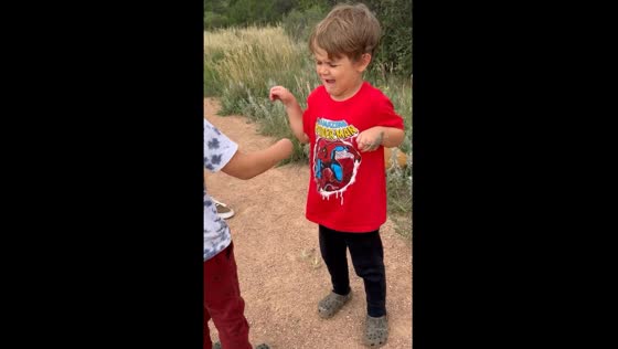 Brothers’ funny interaction over lizard in Colorado Springs, USA