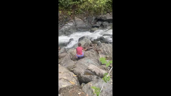 Boy tries to feed monkeys before they surround him in La Maná, Ecuador
