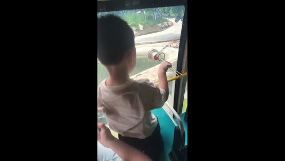 Child feeds tiger through protected enclosure in Henan, China