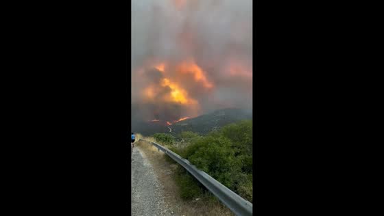 Massive wildfire forces evacuations near Troodos Mountains, Limassol, Cyprus