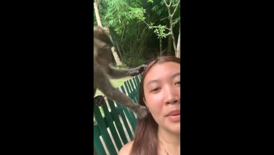  Monkey steals earrings and walks away unbothered in Santa Catalina, Negros Oriental, Philippines
