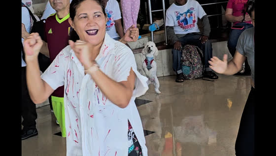 Poodle joins in on group exercise dance in Panama outlet