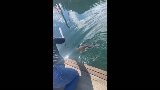 Attempting to club a fish while fishing
