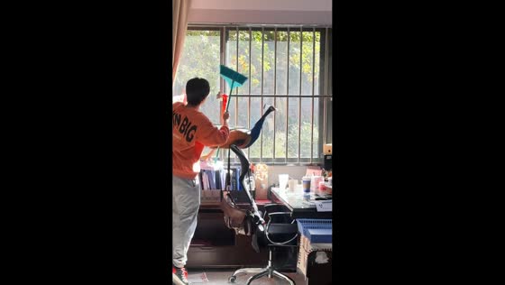 Peacock flies into a classroom in Yunnan, China