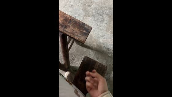 Playful puppy reacts to mysterious knocking sound in Zhejiang, China