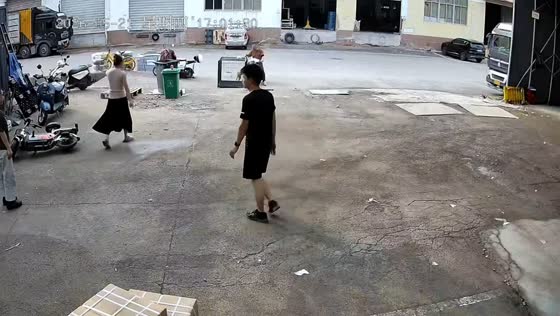Dog pulls cage across street to reach owner in Zhejiang, China
