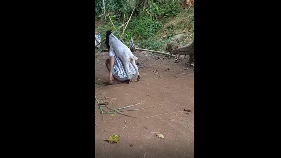 Heartwarming tale: woman becomes mother figure to orphaned goat, creating a hilariously adorable bond