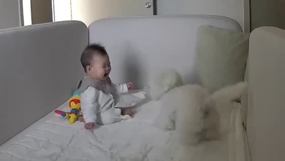 Dog and child share a heartwarming moment in Seoul