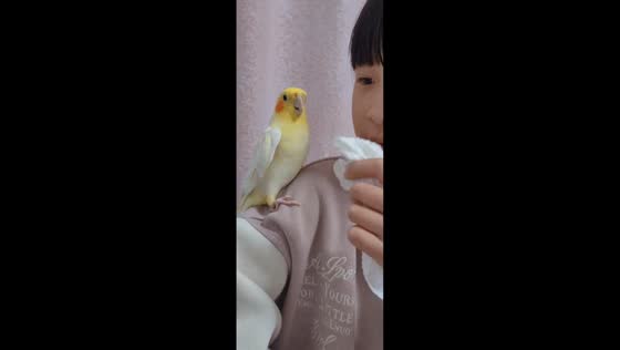 Daughter teaches parrot to talk in Jiangxi, China