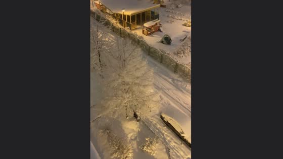 Unexpected Snow Shower! Dad and Child get covered in snow while playing with a trees in St. Petersburg, Russia