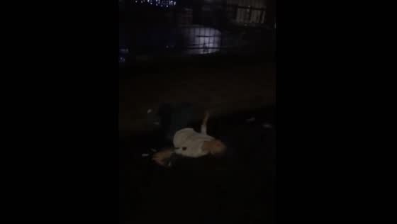 Trash can fail: girl takes a tumble while playing around in Rostov on Don