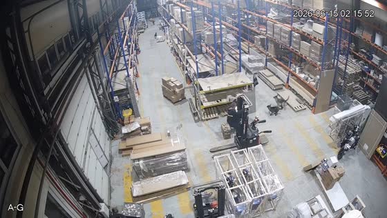Dogs chasing cat send warehouse workers scrambling in Gomel, Belarus