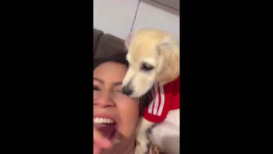 Dog interrupts owner's filming routine, hilariously removes false eyelash!