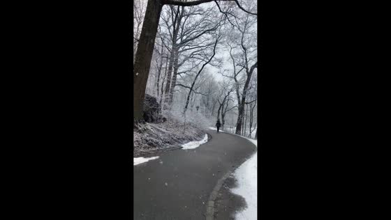 Winter snow covers Central Park in New York, USA