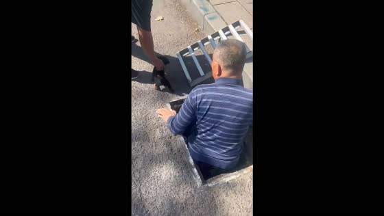 Man rescues puppy after it falls through a street gutter gap in Shandong, China