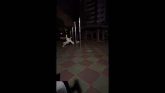 Woman accidentally runs into pole while playing with dog in Jiangsu, China