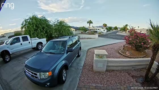 Man falls while pulling a plant branch from the ground in Arizona, USA