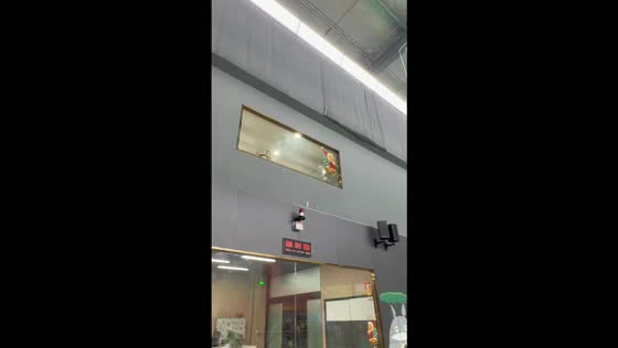 Cats adorably follow a badminton shuttlecock with synchronized head movements in Jiangsu, China