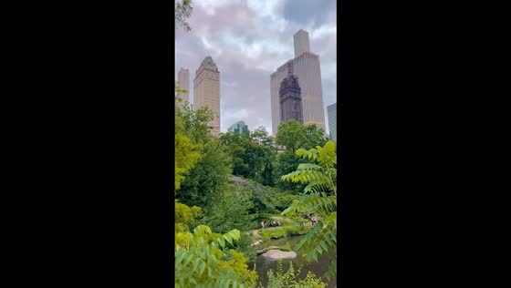 Peaceful morning run through scenic Central Park in New York, USA